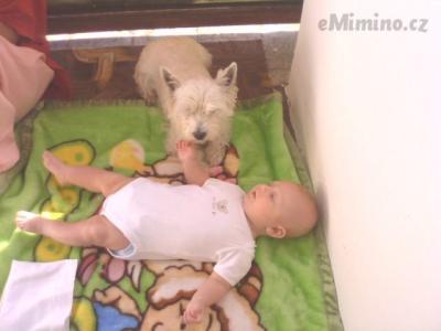 IMG0242A.jpg