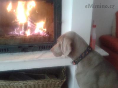 20131214_142155.jpg