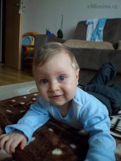 SAM_0279.JPG