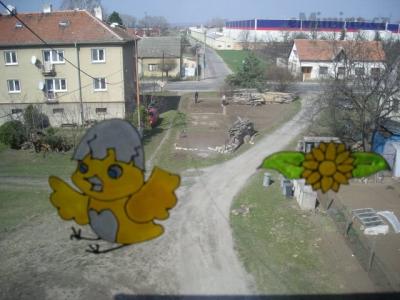 Velikonoce 2010 005.jpg