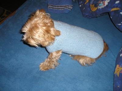 tzu 023.jpg