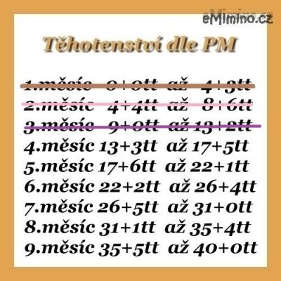 486005.jpg