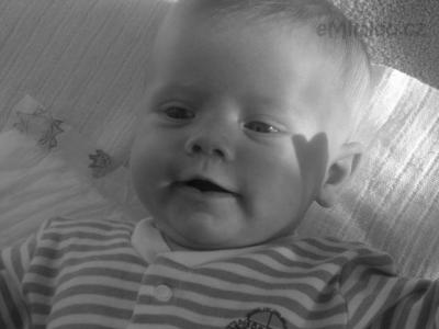 DSCF0817.JPG