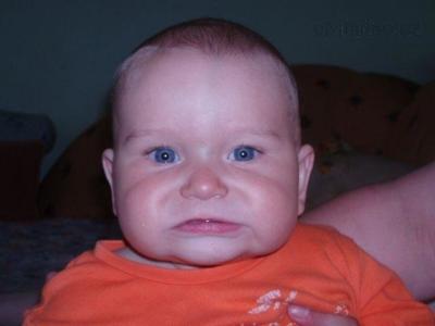 f2380686.jpg