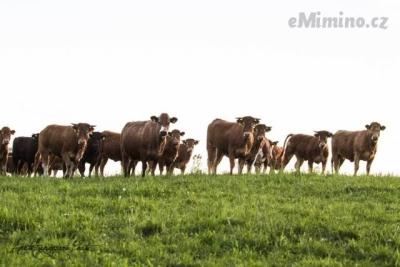 ekofarm4.jpg