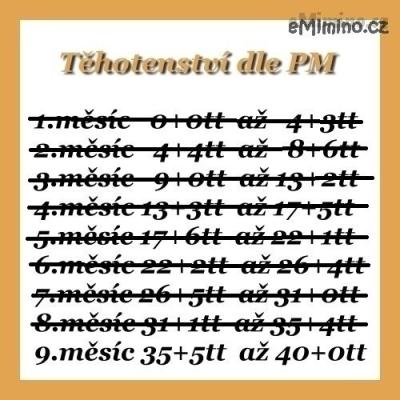 486005.jpg