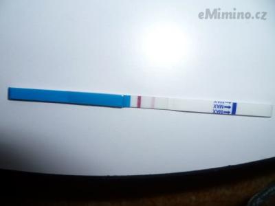 P1060483.JPG