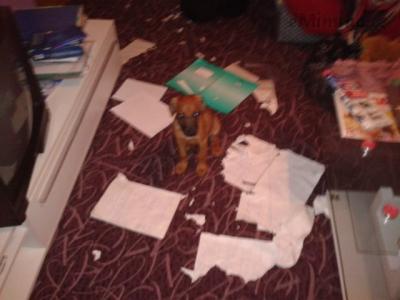 2013-09-26 19.56.00.jpg