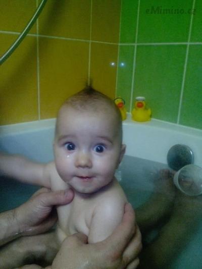 ve vane