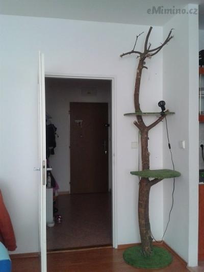 20140422_153134.jpg