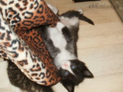 P1010629.JPG