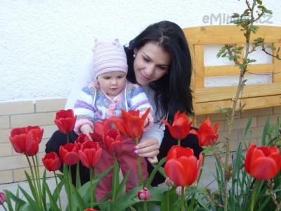 tulipánky, miláčku