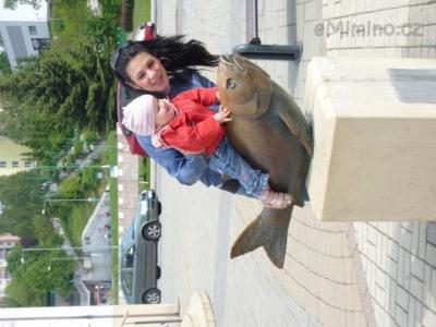 P1000541.JPG