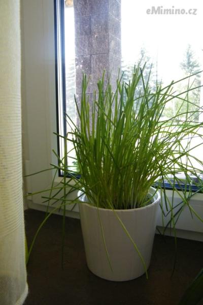 DSCF4289.JPG