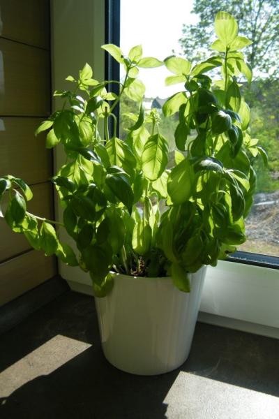DSCF4291.JPG