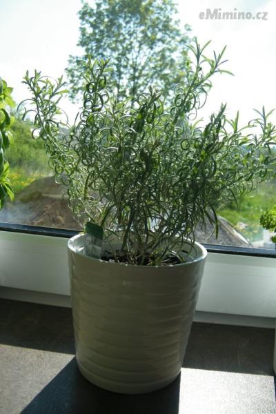 DSCF4292.JPG