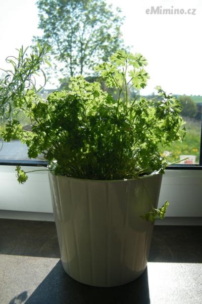 DSCF4293.JPG