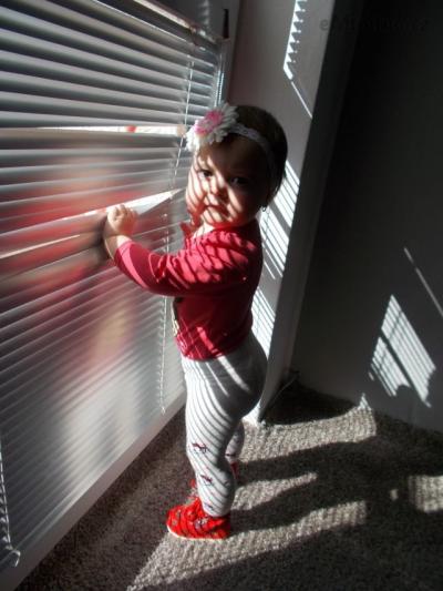 DSCN0214.JPG