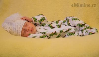 IMG_4006-2.jpg