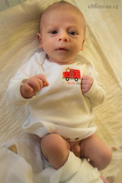 IMG_4286_u.jpg