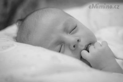 IMG_4545-4.jpg