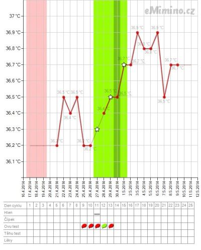 temperaturegraph4.jpg