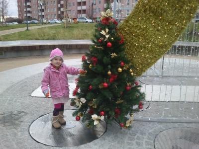 DSC_0153.JPG