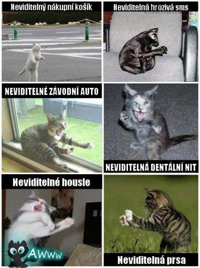 neviditelne veci.jpg