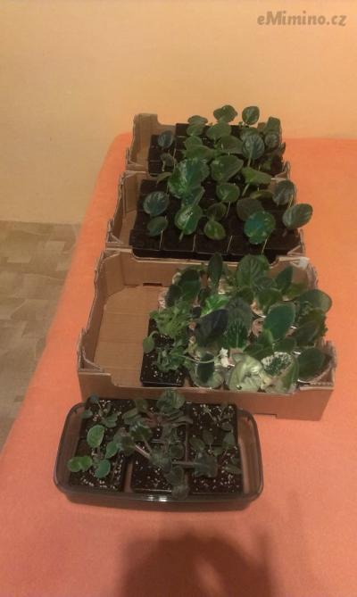 IMAG0759.jpg