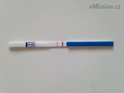 image test.jpeg