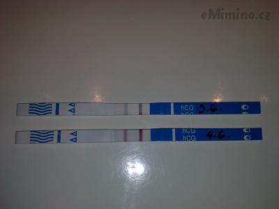 Obraz0186.jpg