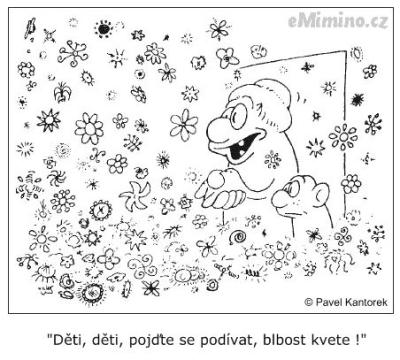 pkantorek.jpg