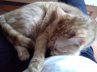 Charlie