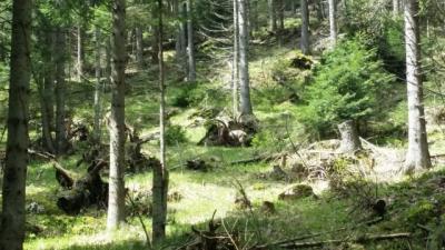 20140503_123854.jpg