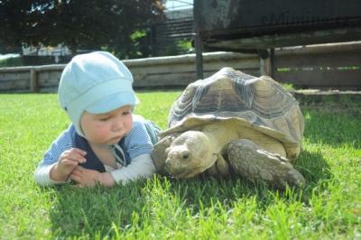 Chleby 6.6.2014 104.jpg