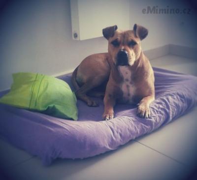20130905_124215~2.jpg