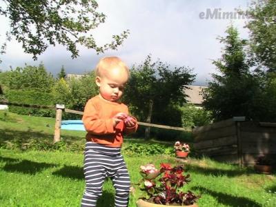 IMG_1267.JPG