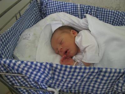 12.6.2010 003.jpg