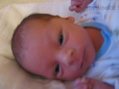17.6.2010 011.jpg