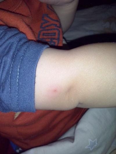 CAM02922.jpg
