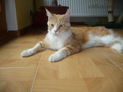 Andrej of Pumelia Garden
