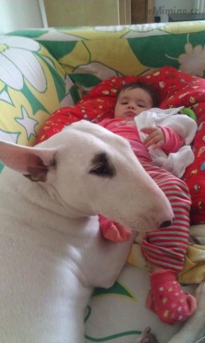 IMAG0242.jpg