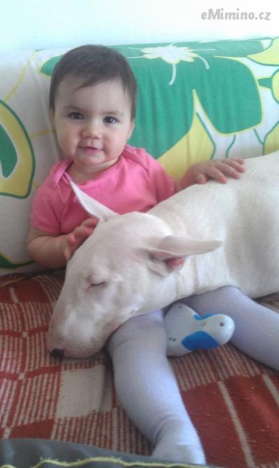 IMAG0270.jpg