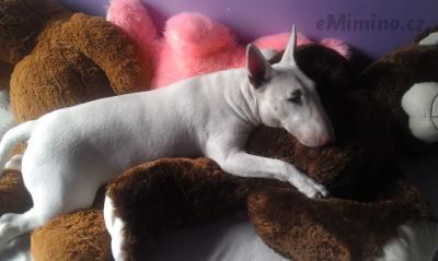 IMAG0814.jpg