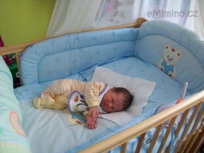 prdolka1-2-2010 004.jpg