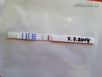 obrázek (2).JPG