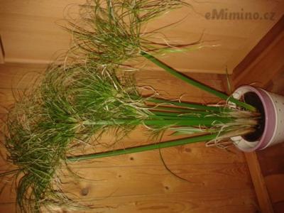 20140710_140359.jpg