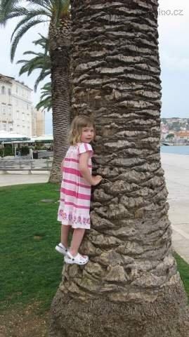 IMG_7449.JPG