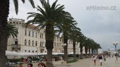 IMG_7452.JPG