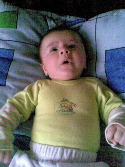 Obraz010.jpg